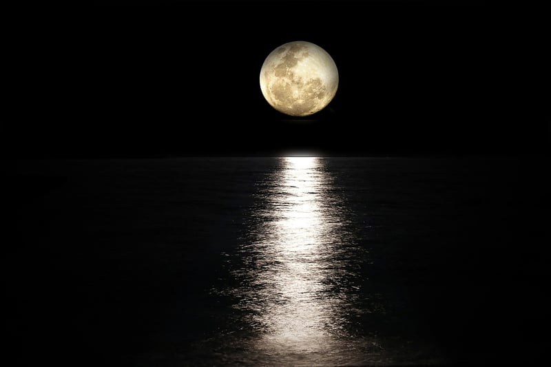 Moonbeam Ceremonies Image
